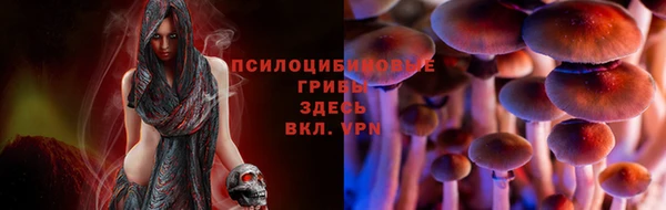 гашиш Абаза