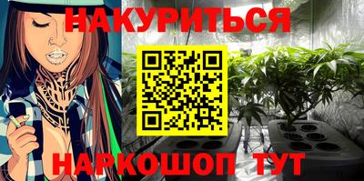 прущие грибы Краснокаменск